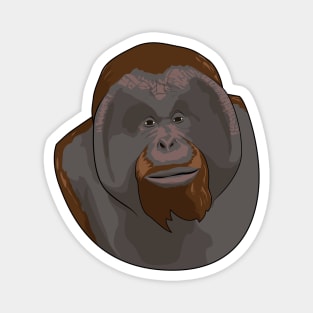 Orangutan Magnet