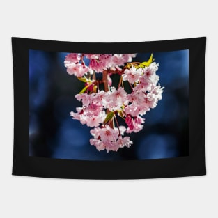 Cherry blossoms with blue bokeh Tapestry