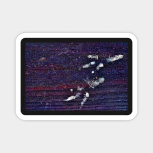 The Proof, photo art, a bird has walked over the floor with dirty feet Magnet