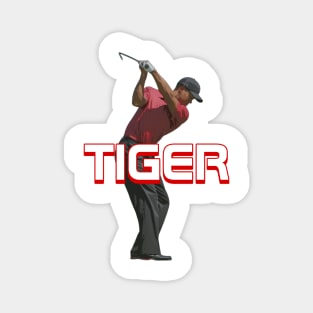 Tiger Woods Swing Magnet