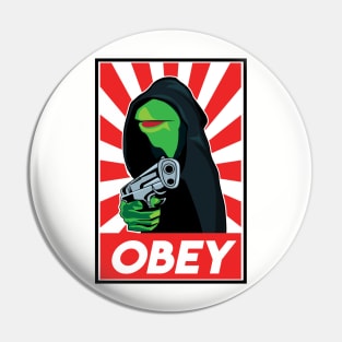 Hooded Kermit Pin