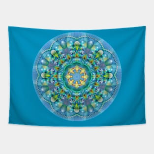 Mandala Magic - Daily Focus 2.21.2024 Tapestry