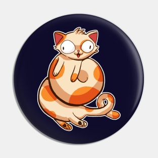 Stretchy Cat Pin