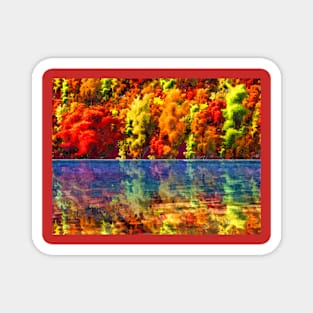 Autumn Trees reflection Magnet