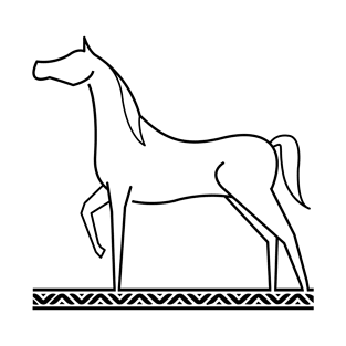 Arabian Horse / خيل T-Shirt