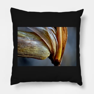 Field Corn Pillow