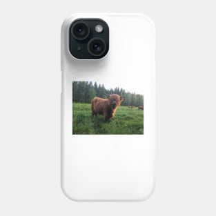 Scottish Highland Cattle Calf 2018 Phone Case