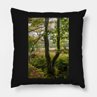Autumn Tree Landscape Scene Pillow