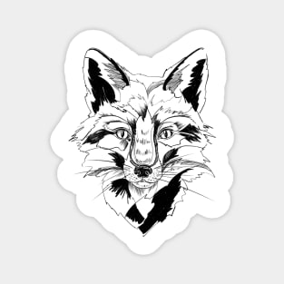 Cute Fox Sketch Magnet