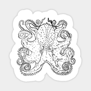 octopus Magnet