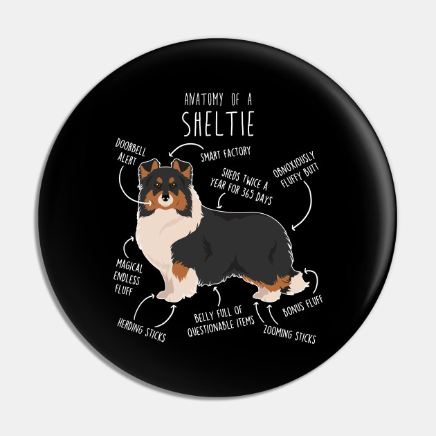 Sheltie pin clearance