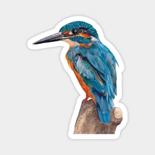 Kingfisher, Watercolor Kingfisher, Watercolor bird, Bird Painting, Blue bird Magnet