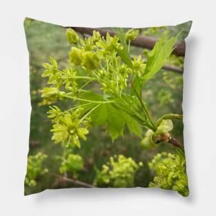 Maple Flowers Pillow