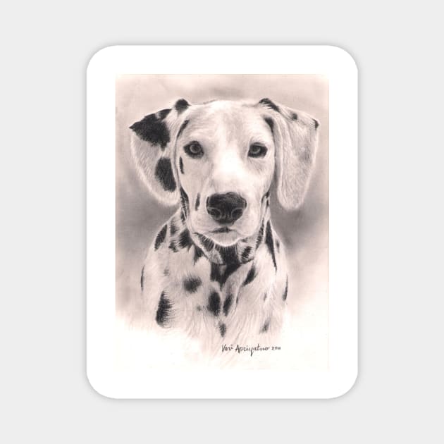 Dalmatian Magnet by VeriArt