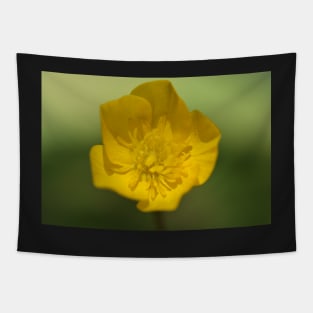 Buttercup 02 Tapestry