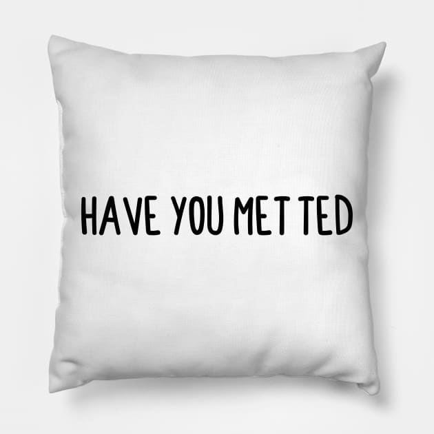 Have You Met Ted Pillow by BijStore