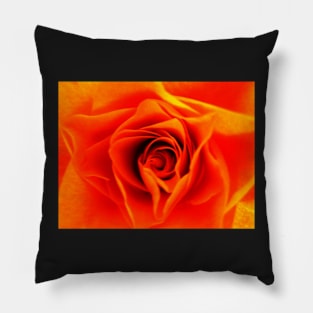 Orange Pillow