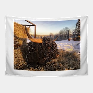 Scottish Highland Cattle Bull 2218 Tapestry