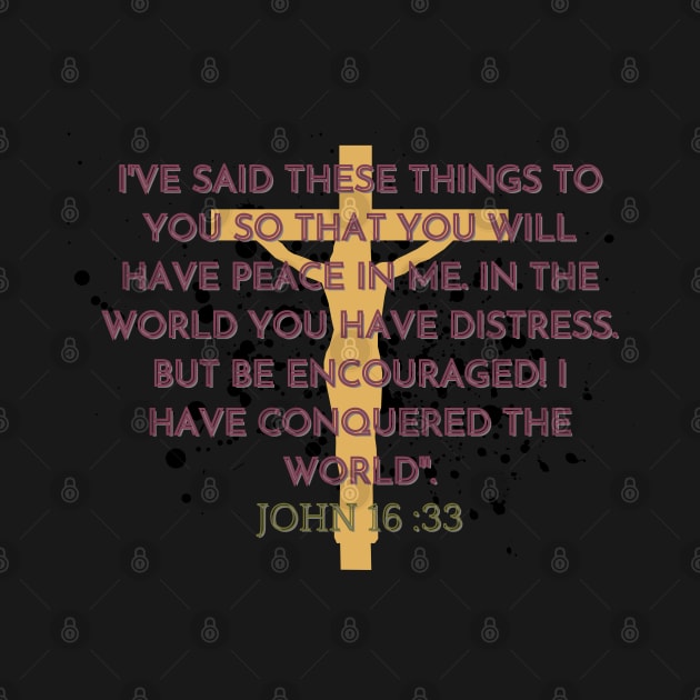 JOHN 16 : 33 by hypocrite human