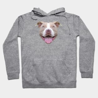Pitbulls & Parolees zip up sweater
