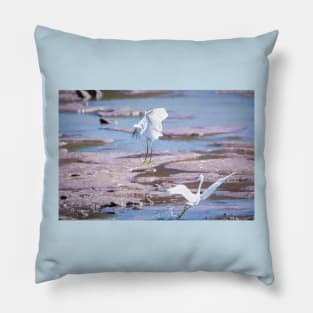 Snowy Egret Performance by Debra Martz Pillow