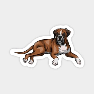 Cute Boxer Dog Magnet