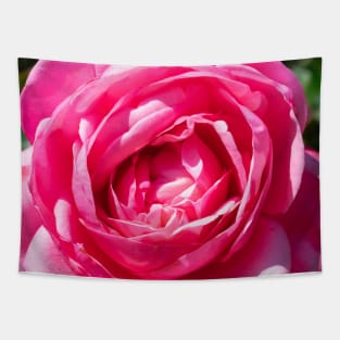 A Single Pink Rose Tapestry