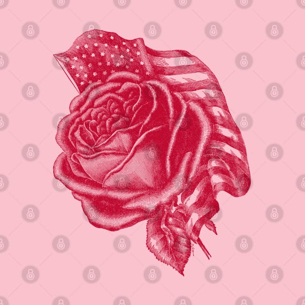 Red Rose with the United States flag by Biophilia