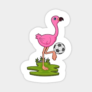 Flamingo as Soccer player with Soccer Magnet