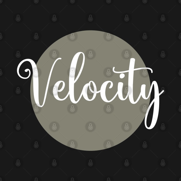 Velocity by Qasim