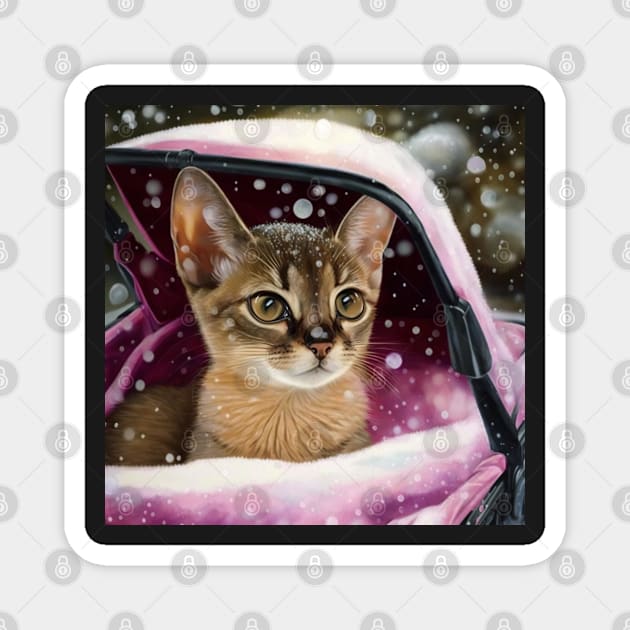 Baby Abyssinian Magnet by Enchanted Reverie