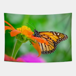 Monarch Butterfly on Flower Photograph Tapestry