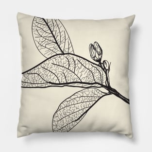 Leaves contours Pillow