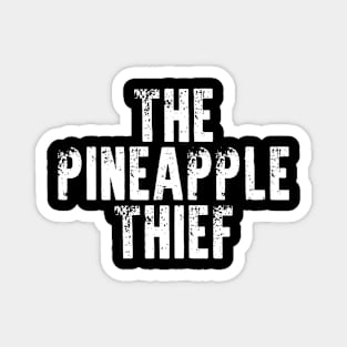 THE PINEAPPLE THIEF BAND Magnet