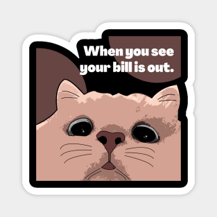 Cat and Bills Magnet