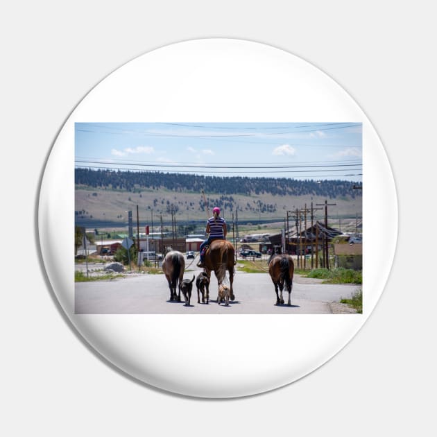 Woman Riding Horse With 3 Dogs and 2 Horses Pin by photosbyalexis