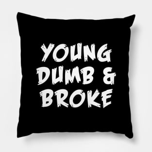 Young Dumb Broke Emotional Saying In Modern Typography Pillow