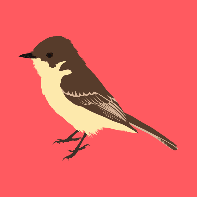 Eastern phoebe by stargatedalek