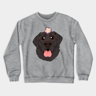 black lab sweatshirts