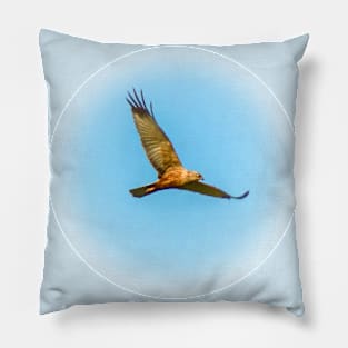 Flying harrier 2 Pillow