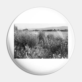 Wild Meadow by the Lake in Black and White. Shoreline Park 2011 Pin