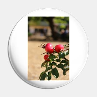 Rose hips Pin