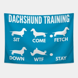 Dachshund Training Dachshund Dog Tricks Tapestry