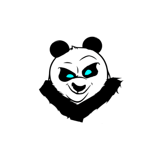 Kung Fu Panda Design 1 T-Shirt