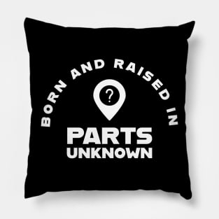 Born in Parts Unknown Pillow