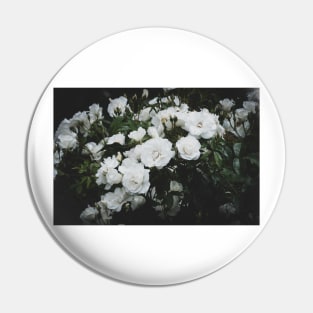 White Roses at Dusk Pin