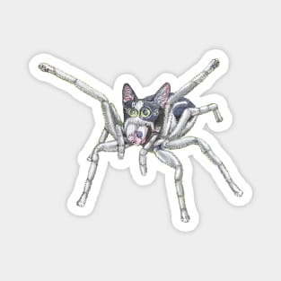 Jumping Spider Kitty Magnet