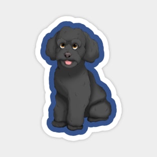 Black Toy Poodle Dog Magnet