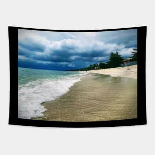 the beach Tapestry