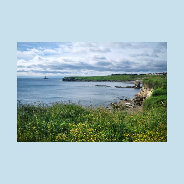 Looking South over Collywell Bay by Violaman